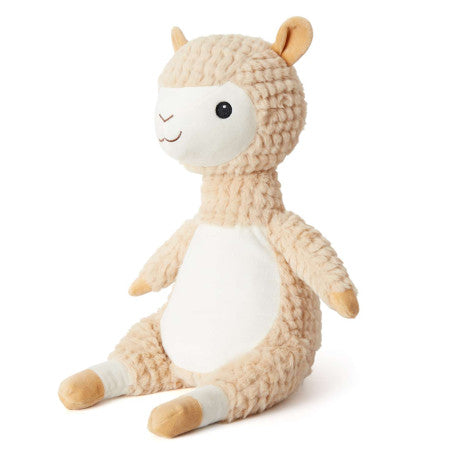 Alfie the Alpaca