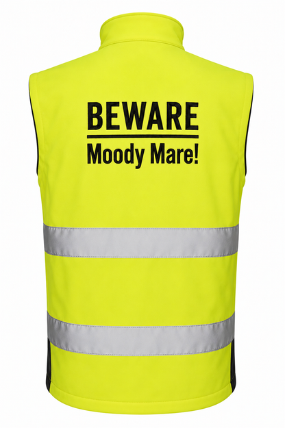 Moody Mare