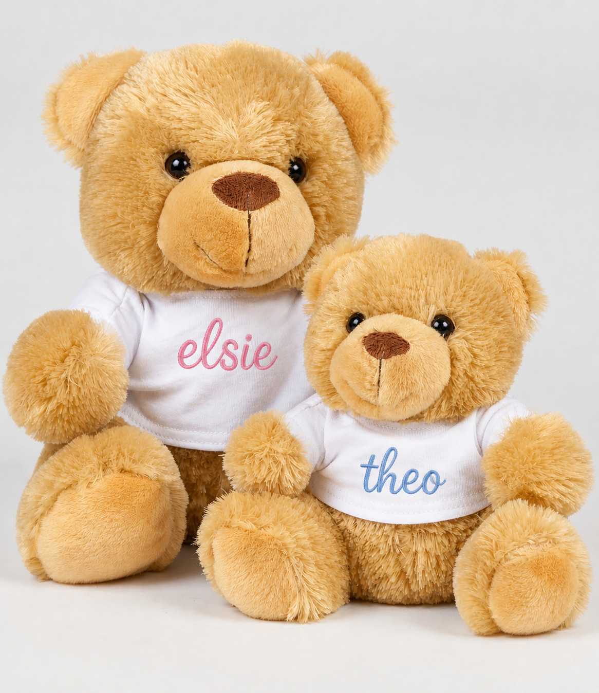 Bumble Bear With Tshirt